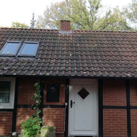 Ferienhaus In Rumke Bippen Exteriör bild