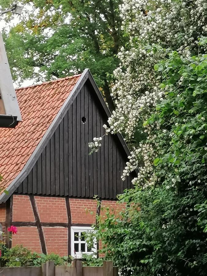 Ferienhaus In Rumke Bippen Exteriör bild