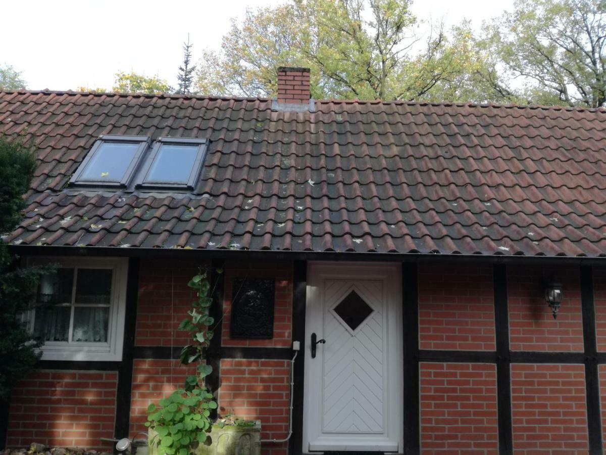 Ferienhaus In Rumke Bippen Exteriör bild